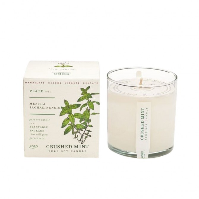 Plant The Box Candle 283gr- Crushed Mint