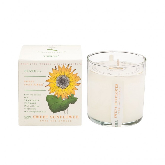 Plant The Box Candle 283gr- Sweet Sunflower