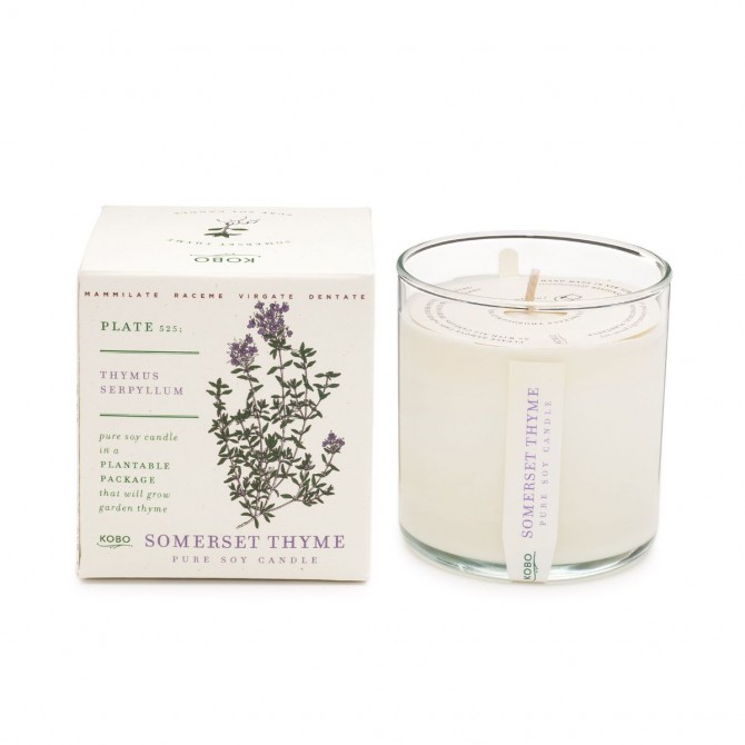 Plant The Box Candle 283gr-Somerset Thyme