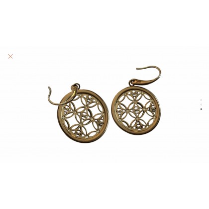 Michael Kors earrings 